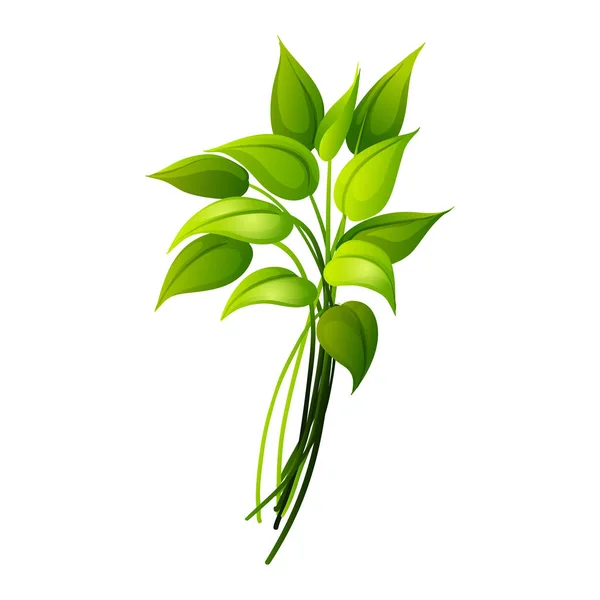 Tropical Leaf Icon isolated on White Backround — 스톡 벡터