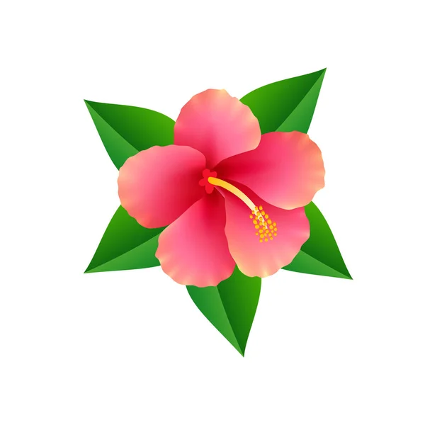 Tropical Flower Icon isolated on White Backround — 图库矢量图片