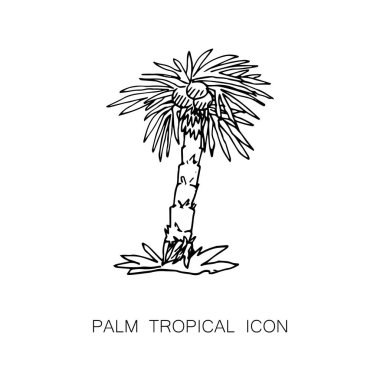 Tropik Palmiye Ağacı Simgesi. Vektör İllüstrasyonu. Çizgi Çizimi Grafik Biçimi.