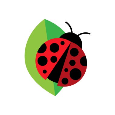 Uğur böceği ya da uğur böceği vektör grafik çizimi, izole edilmiş. Siyah ve kırmızı dişi böceğin şirin düz tasarımı..