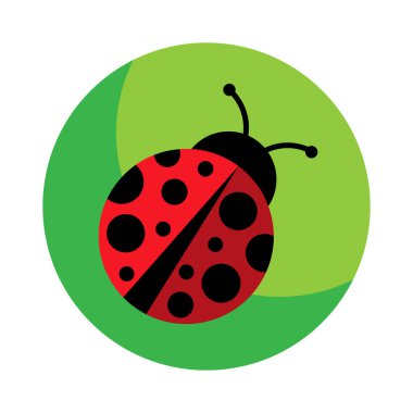 Uğur böceği ya da uğur böceği vektör grafik çizimi, izole edilmiş. Siyah ve kırmızı dişi böceğin şirin düz tasarımı..
