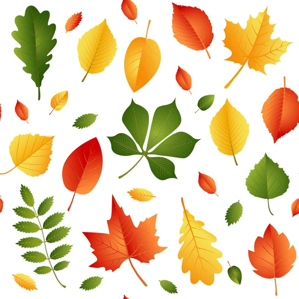 Patrón con hojas de otoño sobre fondo blanco — Vector de stock
