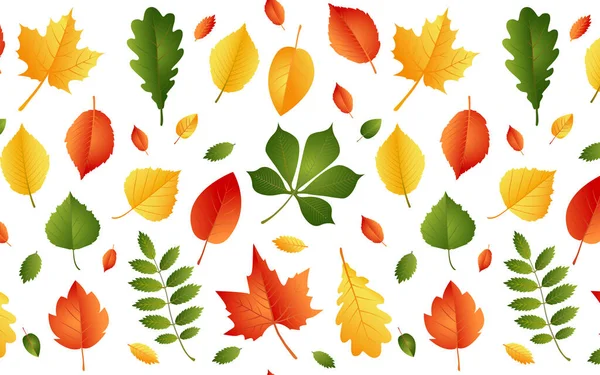 Patrón con hojas de otoño sobre fondo blanco — Vector de stock