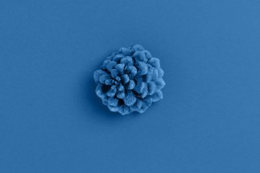 Kırmızı arka planda çam kozalağı. 2020 yılının moda rengi. Üst görünüm, düz görünüm, kopyalama alanı