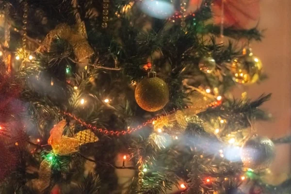 크리스마스 트리 배경 - 경작지와 가문비나무가지. 녹내장 — 스톡 사진