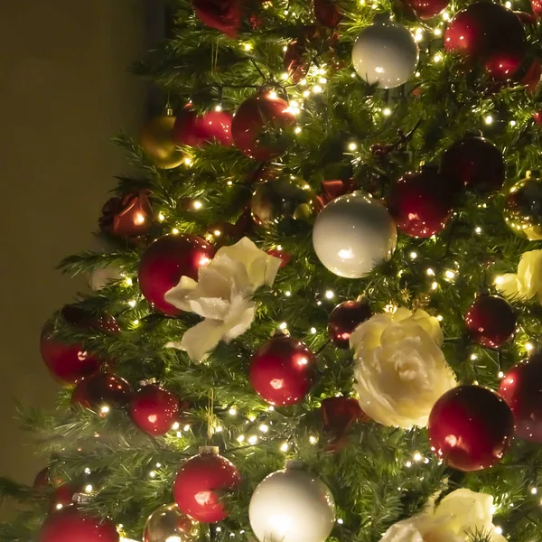Christmas tree background - baubles and branch of spruce tree — 스톡 사진