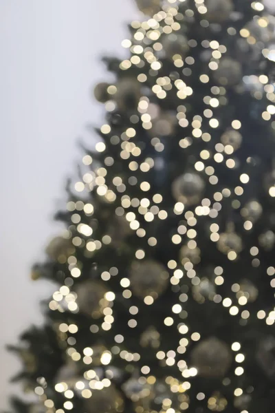 화랑 이 있는 드문드문 있는 크리스마스 트리의 수직 모습. — 스톡 사진