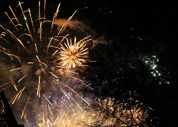 Explodir fogos de artifício coloridos no céu escuro noite — Fotografia de Stock