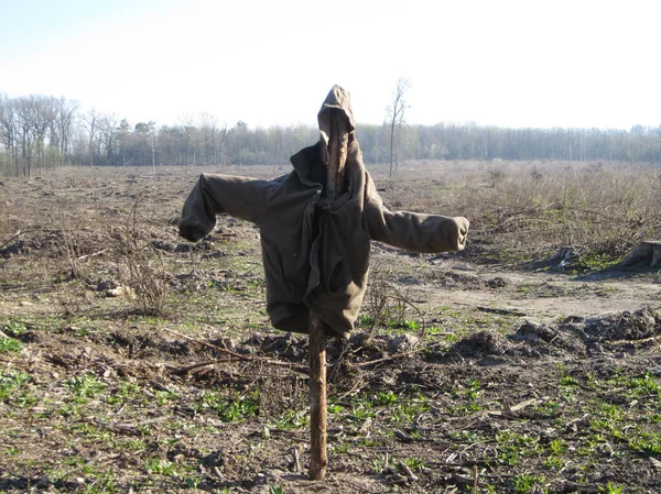 Scary Scarecrow Garden Discourages Hungry Birds Beautiful Landscape Consists Scary — Stock Photo, Image