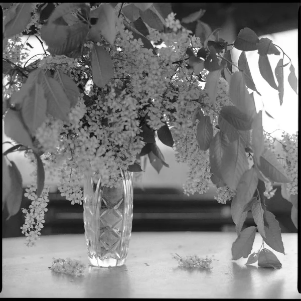 Photographie Rétro Noir Blanc Montre Bouquet Belles Fleurs Printemps Fleurs — Photo