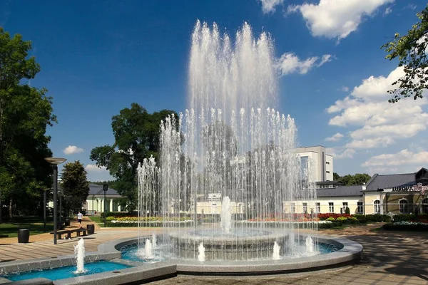 Красивый фонтан в Друскининкай Стоковое Фото