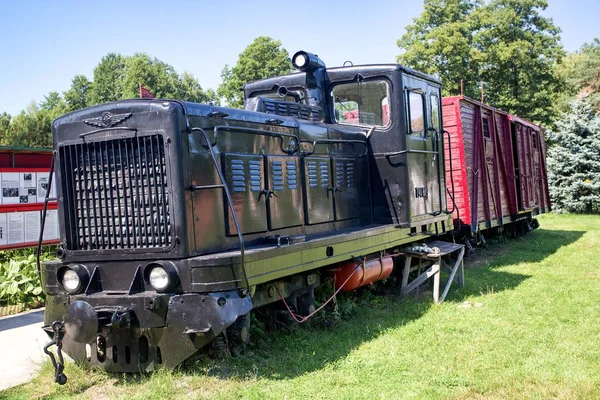 Ένα Παλιό Σοβιετικό Τρένο Όπου Κρατούμενοι Μεταφέρθηκαν Γκούλαγκ Grutas Park — Φωτογραφία Αρχείου