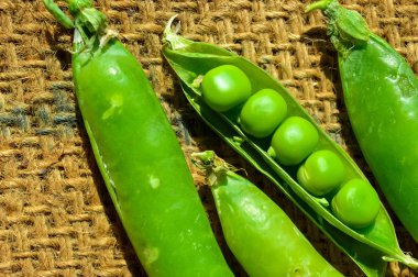 Topçu ateşinde çiğ bezelye, tarım geçmişinde taze bezelye.