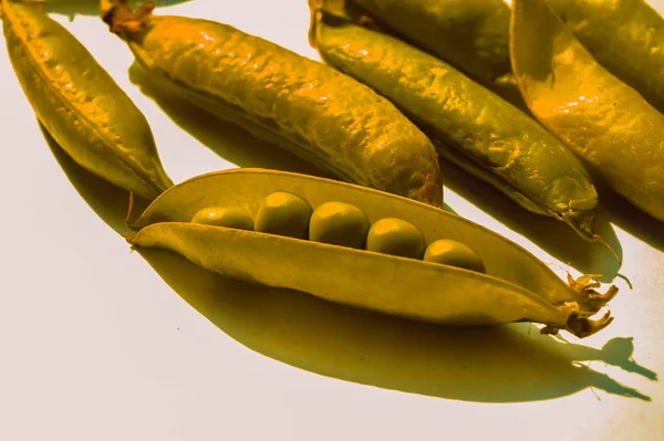 白色背景的不同类型豌豆，背景的黄金豌豆 — 图库照片