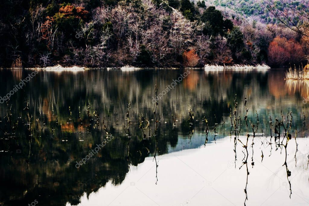 Mixed forest on a hill in early spring is reflected in the calm water of a mountain lake