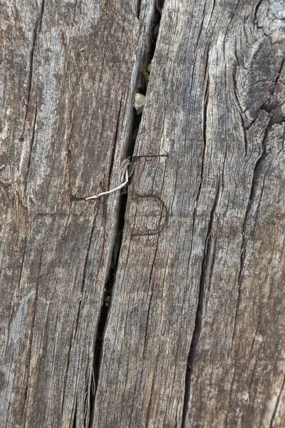 eski conseil. La doku du bois.number beş