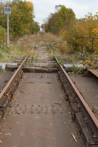 Zapomenutá železnice zarostlé trávou a keři — Stock fotografie