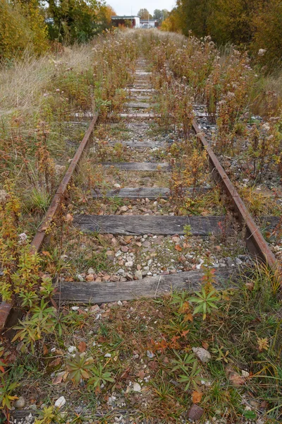 Unutulmuş demiryolu ot ve çalılar ile büyümüş
