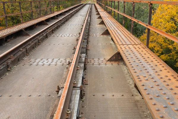 Старі залізничні рейки іржавіють з осені . — стокове фото
