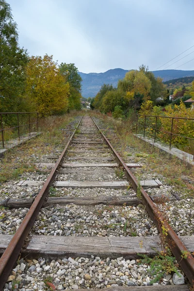 Забытая железная дорога, заросшая травой и кустами — стоковое фото