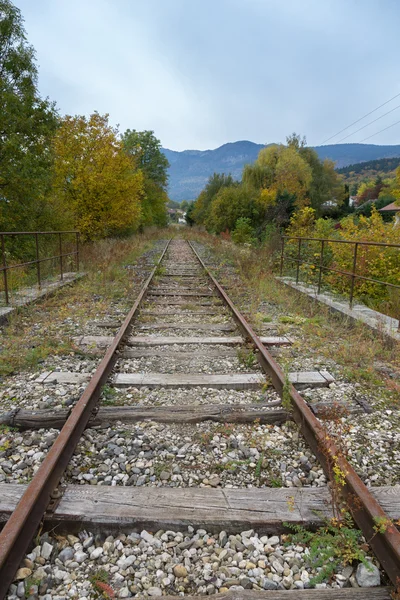 Ferrocarril olvidado cubierto de hierba y arbustos —  Fotos de Stock