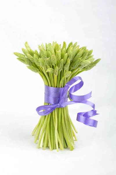 Bouquet de espargos selvagens. Plantas comestíveis. dom de comida orgânica — Fotografia de Stock
