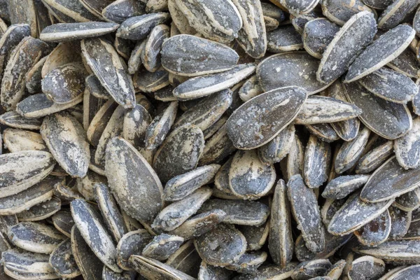 Sunflower seeds in salt. European aperitif. Royalty Free Stock Photos