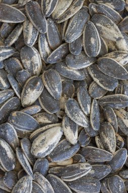 Ayçiçeği tohumu tuz. Avrupa aperatif.