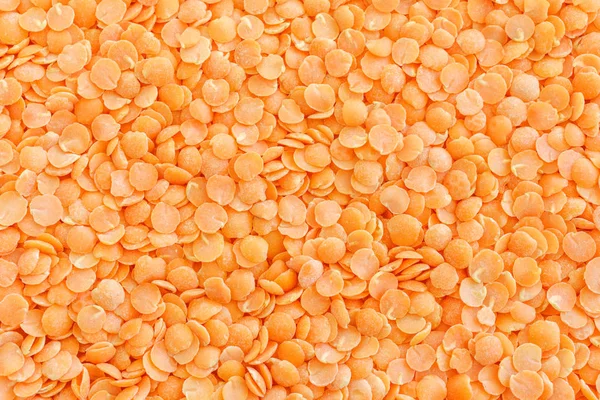 Grains of red raw lentils macro.