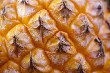 Ananas cilt makro yüzeyi. Yan üzerinde taze egzotik meyve anlık. Parlak meyvelerin arka planı.