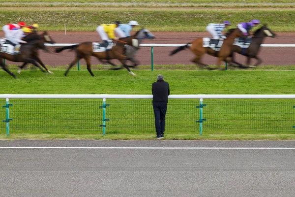 Horse racing. The man at the racetrack looks at the galloping horses. A picture of a man without a face standing with his back. Animals in motion