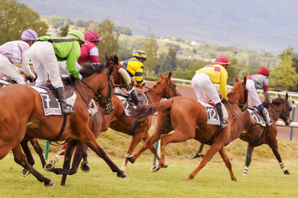 Atlar ve biniciler pist yarışlarında dörtnala sırasında. Hipodrom Fransa'nın, şehir Divonne les yasak. 14 Temmuz 2016