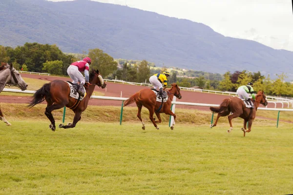 Hästar och ryttare under galopperande tävlingarna på travbanan. Hippodromen av Frankrike, den staden i Divonne les förbud. 14 juli 2016 — Stockfoto