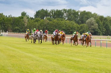 Atlar ve biniciler pist yarışlarında dörtnala sırasında. Hipodrom Fransa'nın, şehir Divonne les yasak. 14 Temmuz 2016
