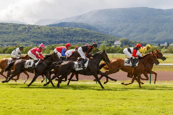 Atlar ve biniciler pist yarışlarında dörtnala sırasında. Hipodrom Fransa'nın, şehir Divonne les yasak. 14 Temmuz 2016