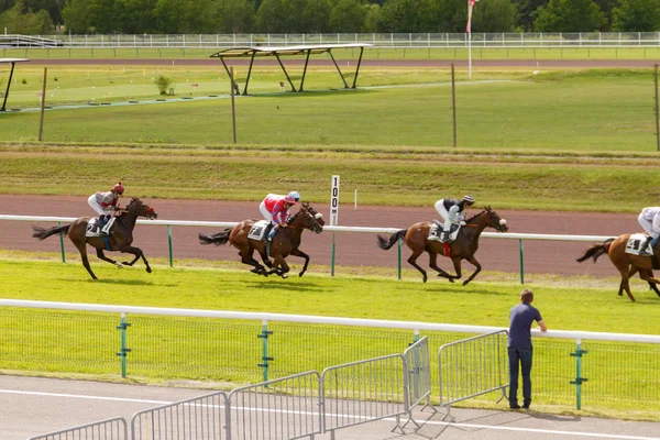Caballos y jinetes durante las carreras de galope en el hipódromo. Hipódromo de Francia, la ciudad de Divonne les ban. 14 de julio de 2016 — Foto de Stock