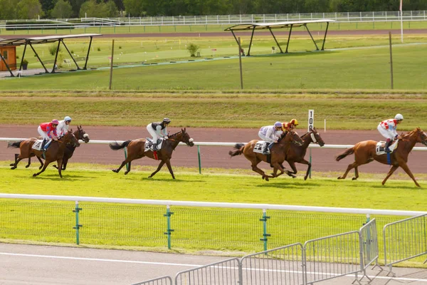 Caballos y jinetes durante las carreras de galope en el hipódromo. Hipódromo de Francia, la ciudad de Divonne les ban. 14 de julio de 2016 — Foto de Stock