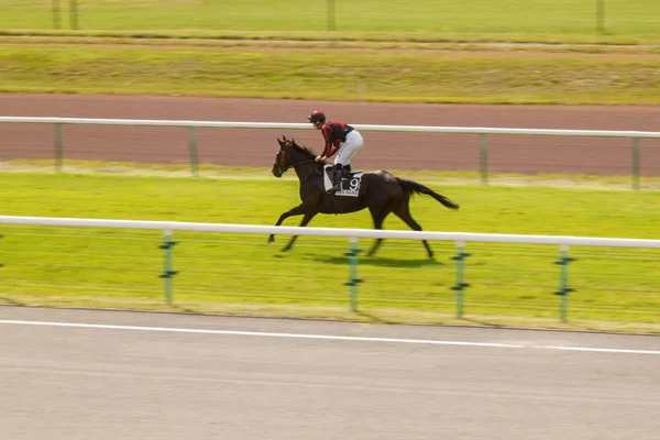 Cavalli e cavalieri durante le corse al galoppo in pista. Ippodromo di Francia, la città di Divonne les ban. luglio 14, 2016 — Foto Stock