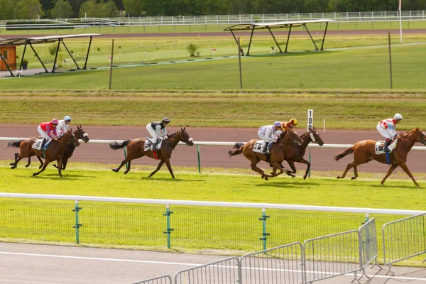 Paarden en ruiters tijdens de races op het circuit te galopperen. Hippodrome van Frankrijk, de stad van Divonne les verbieden. 14 juli 2016 Stockafbeelding