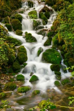 Yaz aylarında nehir dağ. Peyzaj taş olan nehrin.