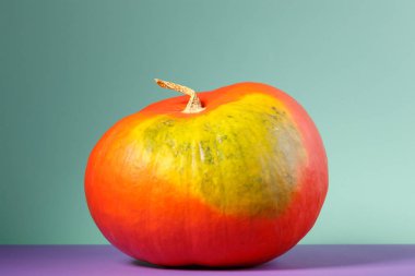 büyük turuncu kabak yan görünüm. ruh hali sebze ile renkli görüntü.