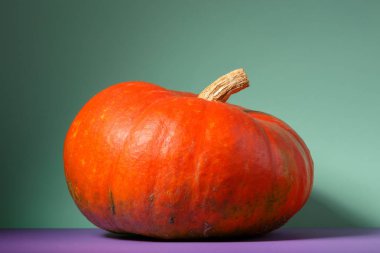 büyük turuncu kabak yan görünüm. ruh hali sebze ile renkli görüntü.