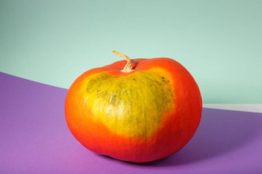 büyük turuncu kabak yan görünüm. ruh hali sebze ile renkli görüntü.