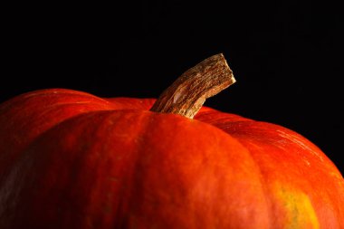 güzel parlak turuncu siyah bir arka plan üzerinde kabak. bir sebze canlı fotoğraf
