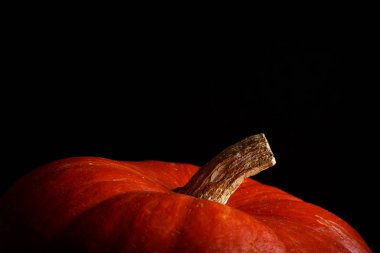 güzel parlak turuncu siyah bir arka plan üzerinde kabak. bir sebze canlı fotoğraf