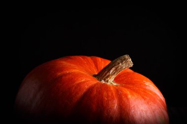 güzel parlak turuncu siyah bir arka plan üzerinde kabak. bir sebze canlı fotoğraf