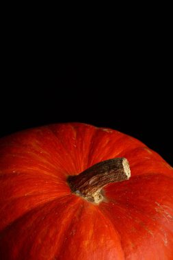 güzel parlak turuncu siyah bir arka plan üzerinde kabak. bir sebze canlı fotoğraf