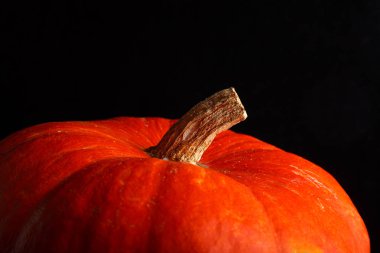 güzel parlak turuncu siyah bir arka plan üzerinde kabak. bir sebze canlı fotoğraf