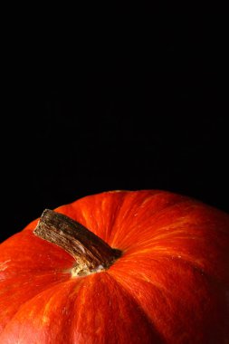 güzel parlak turuncu siyah bir arka plan üzerinde kabak. bir sebze canlı fotoğraf