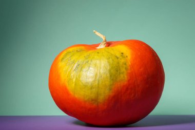 seçici odak ile turuncu kabak sebze